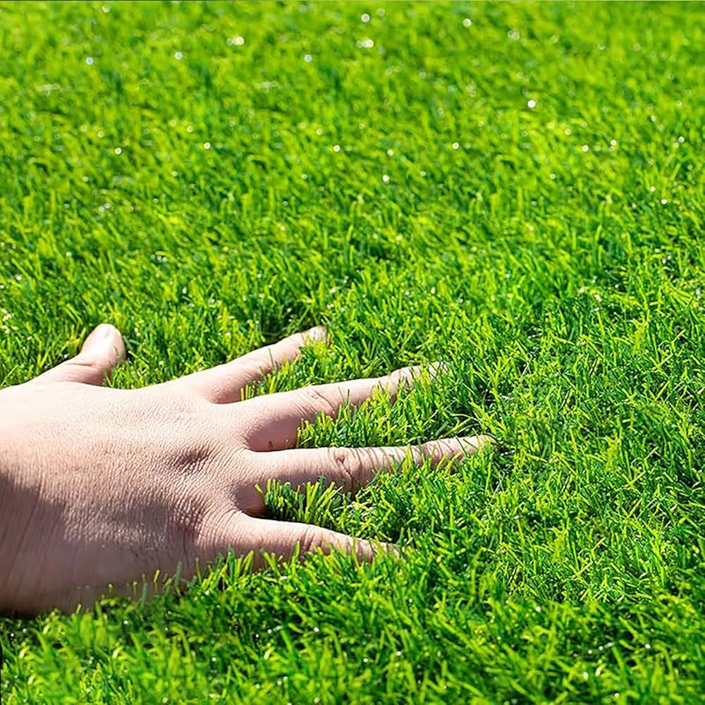 Amazon | 人工芝 ロール 芝生 ロール リアル 芝生 人工芝 シート